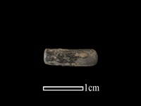 藏品(陶環)的圖片