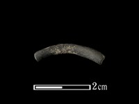 藏品(陶環)的圖片