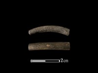 藏品(陶環)的圖片