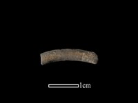 藏品(陶環)的圖片