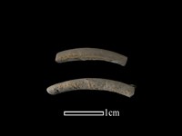 藏品(陶環)的圖片