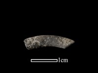 藏品(陶環)的圖片