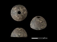 藏品(紡輪)的圖片