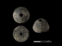 藏品(紡輪)的圖片