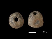 藏品(紡輪)的圖片