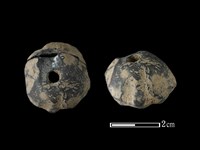 藏品(紡輪)的圖片