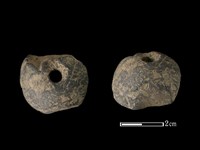 藏品(紡輪)的圖片