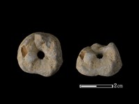 藏品(紡輪)的圖片