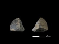 藏品(紡輪)的圖片