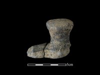 藏品(陶蓋鈕)的圖片