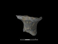 藏品(鼎足)的圖片