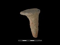 藏品(鼎足)的圖片