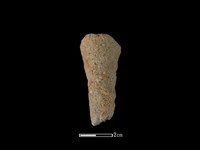 藏品(鼎足)的圖片