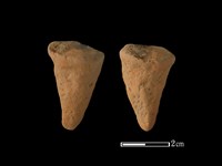 藏品(鼎足)的圖片