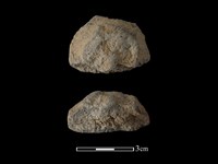 藏品(陶蓋鈕)的圖片