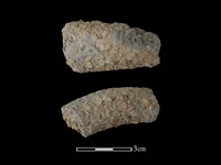 藏品(陶把)的圖片