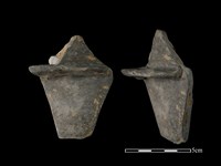 藏品(陶鈕)的圖片