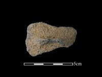 藏品(陶蓋)的圖片