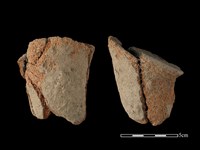 藏品(鼎足)的圖片