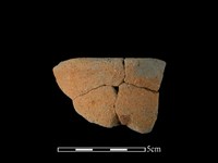 藏品(陶片)的圖片