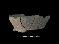 藏品(陶罐)的圖片