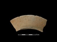 藏品(陶罐)的圖片