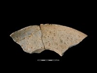 藏品(連杯形器)的圖片