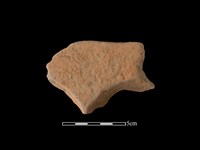 藏品(連杯形器)的圖片