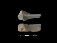 藏品(連杯形器)的圖片