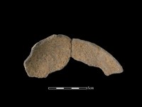 藏品(陶片)的圖片