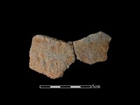 藏品(陶片)的圖片