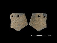 藏品(陶片)的圖片