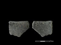 藏品(陶缽)的圖片