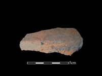 藏品(陶片)的圖片