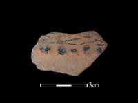 藏品(陶片)的圖片