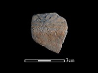 藏品(陶片)的圖片