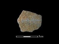 藏品(陶片)的圖片