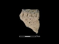 藏品(陶片)的圖片