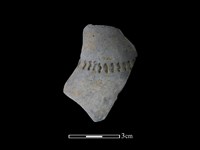 藏品(陶片)的圖片