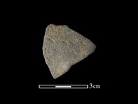 藏品(陶片)的圖片