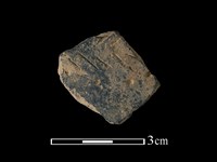 藏品(陶片)的圖片