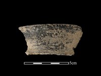 藏品(陶片)的圖片