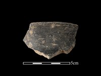 藏品(陶片)的圖片