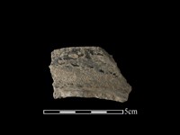 藏品(陶片)的圖片