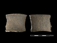 藏品(陶片)的圖片