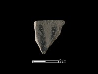 藏品(陶片)的圖片