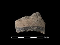 藏品(陶片)的圖片