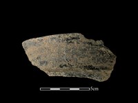 藏品(陶片)的圖片