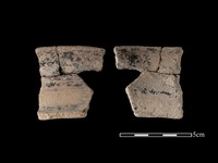 藏品(陶片)的圖片