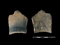 藏品(陶片)的圖片